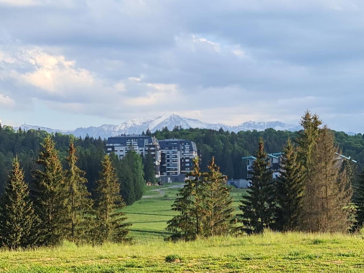 Sarah Deluxe Apartment In Silver Mountain Poiana Braşov Dış mekan fotoğraf